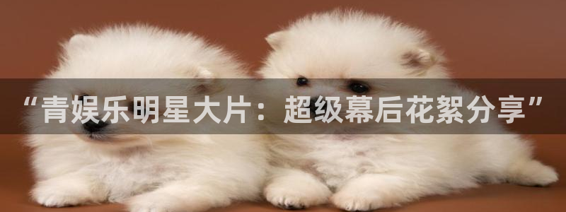 杏鑫娱乐