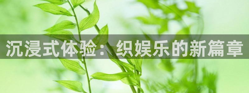杏鑫娱乐