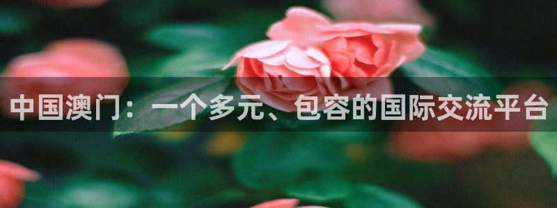 杏鑫娱乐